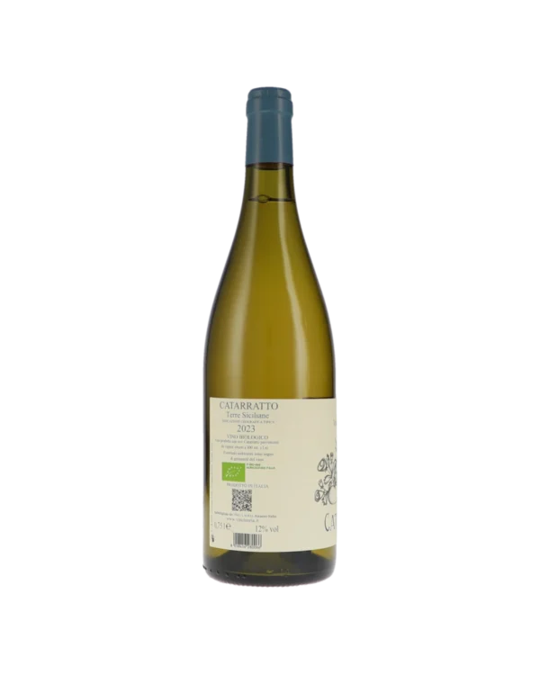 Catarratto Costabisaccia IGT Terre Siciliane Vino Lauria 2023 – Bild 2