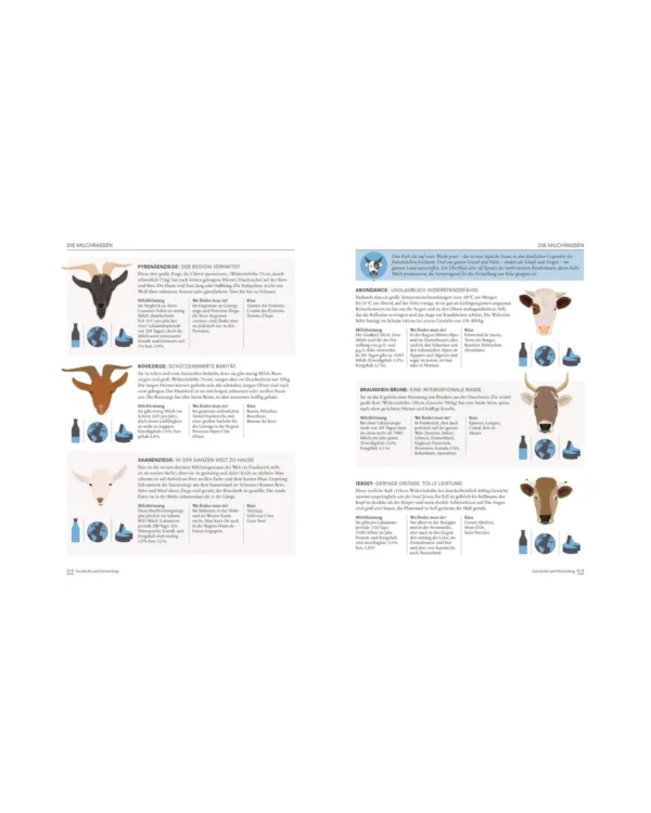 Der Käse Atlas Das Standardwerk – Bild 8