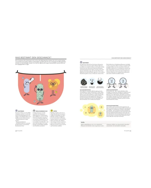 Der Käse Atlas Das Standardwerk – Bild 3
