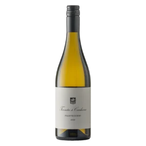 Tenuta di Carleone Pianvecchio IGT 2023
