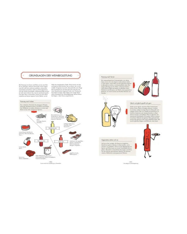 Wein Einsteiger bis Kenner illustrierter Guide – Bild 2
