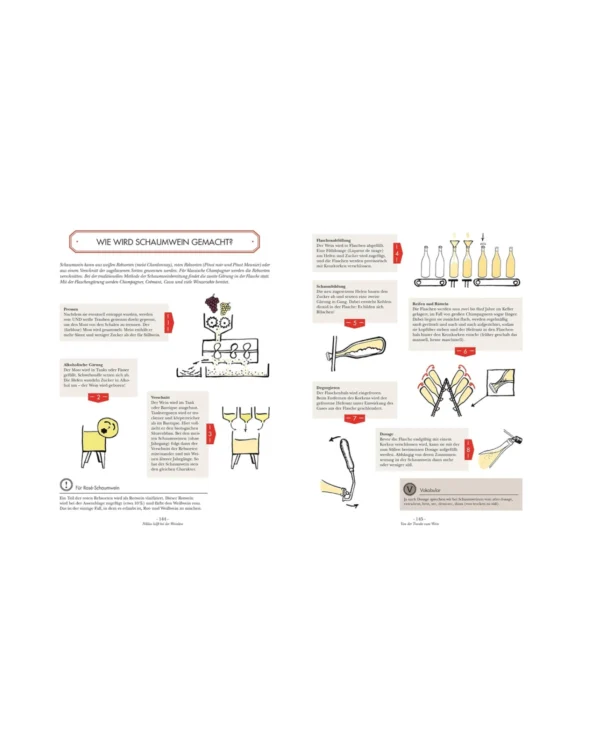 Wein Einsteiger bis Kenner illustrierter Guide – Bild 5
